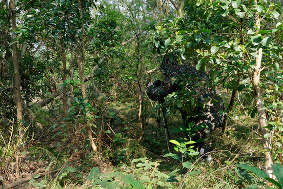 NEU: Der Wilderness in Tarnfarbe